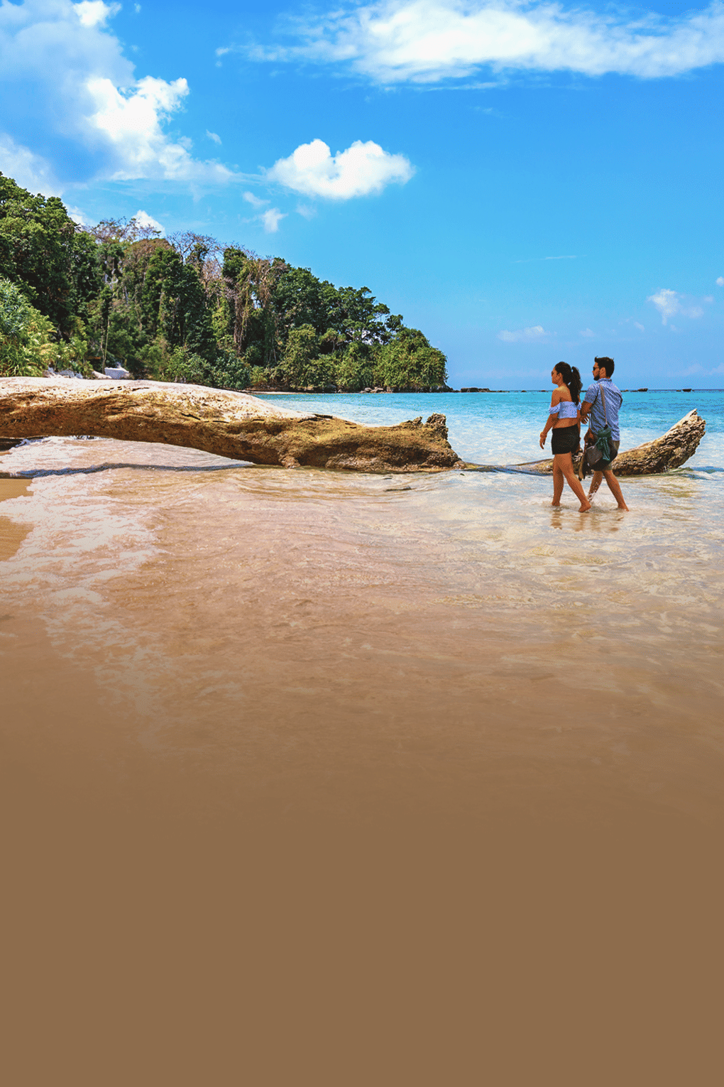Andaman Romantic Getaway | Tropical Isles & Coastal Wonders