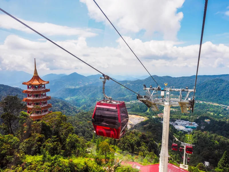Experience the thrill of the Skyway cable car as it glides over lush rainforest