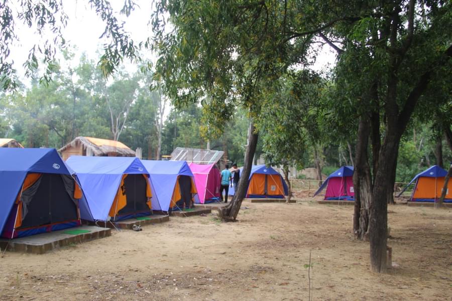 Doladanga Backpackers Camp Image