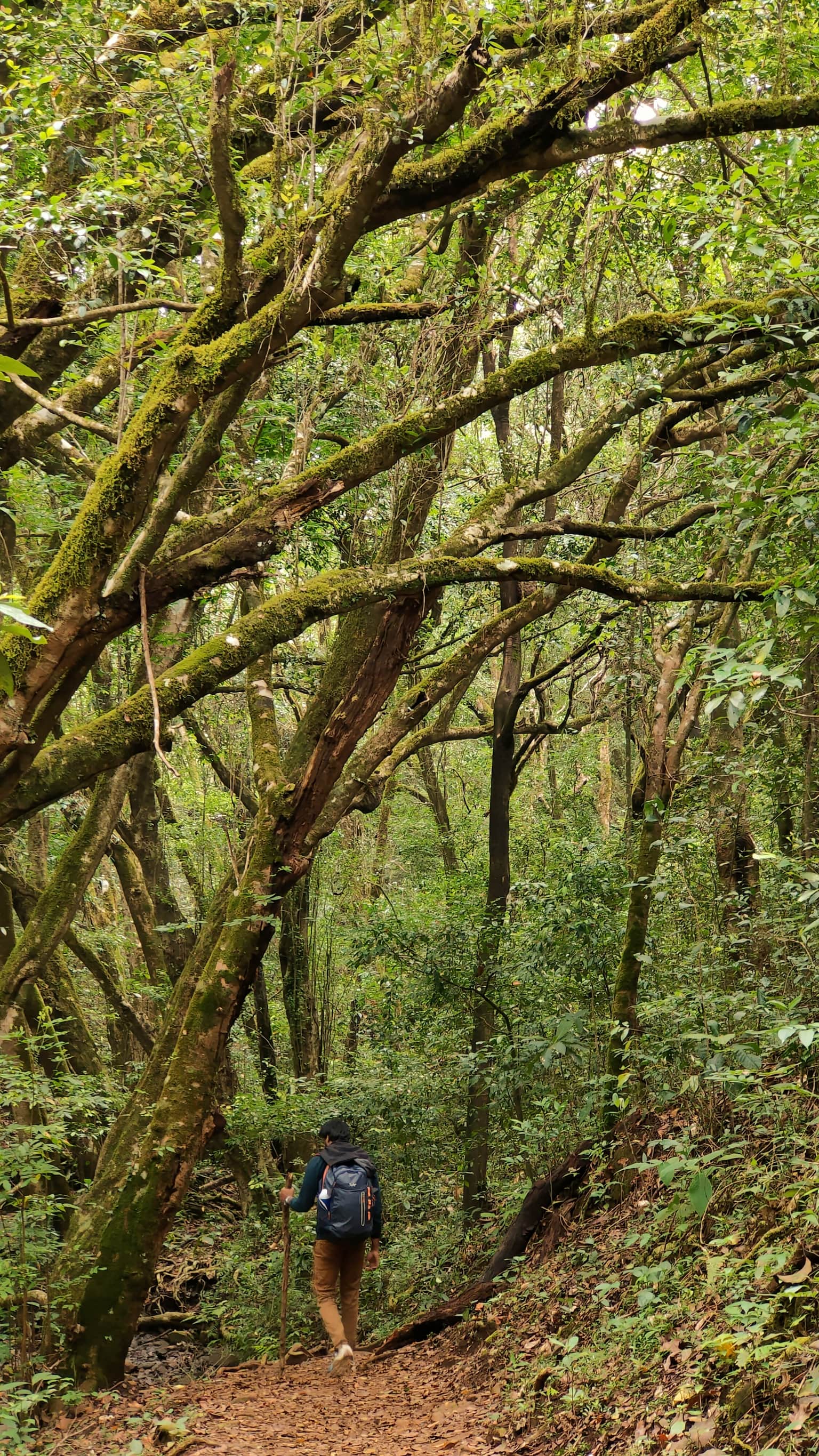 Photo from Lalith Harish's trip