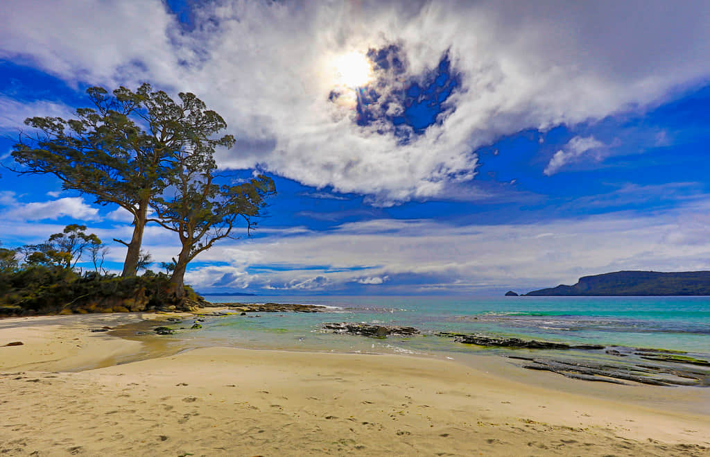 Two Tree Point