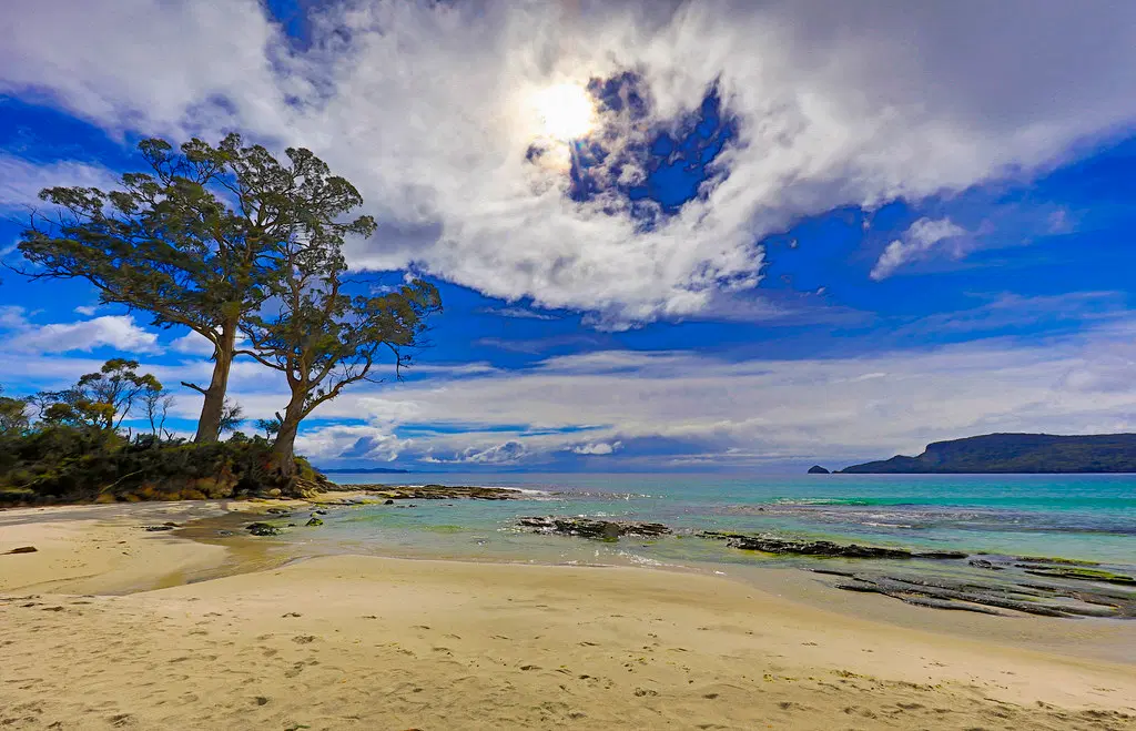 Two Tree Point