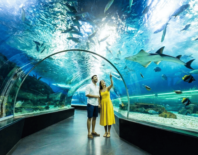 Learn about an array of marine species as you visit Oceanarium at Sentosa 