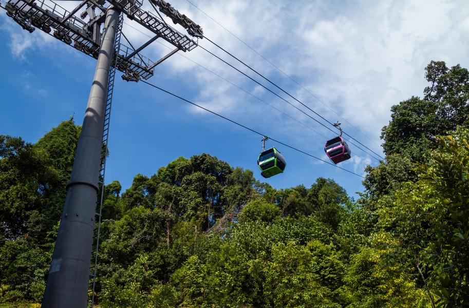  Why You Should Go for Singapore Cable Car ?