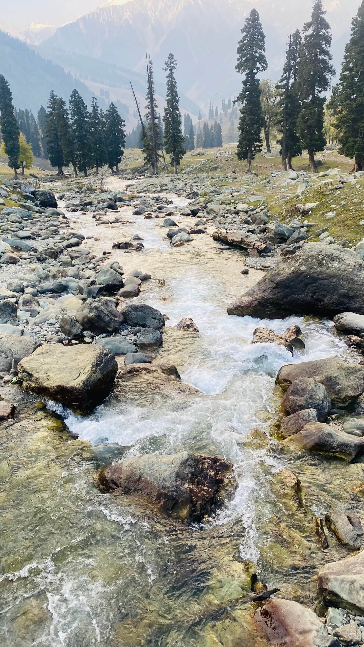 Photo from Partho Chatterjee's trip