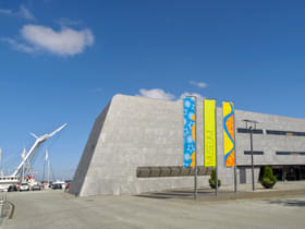 Axo32k0m3hzqqqx3jqhpuk4jze4v 1616666398 shutterstock 36657706