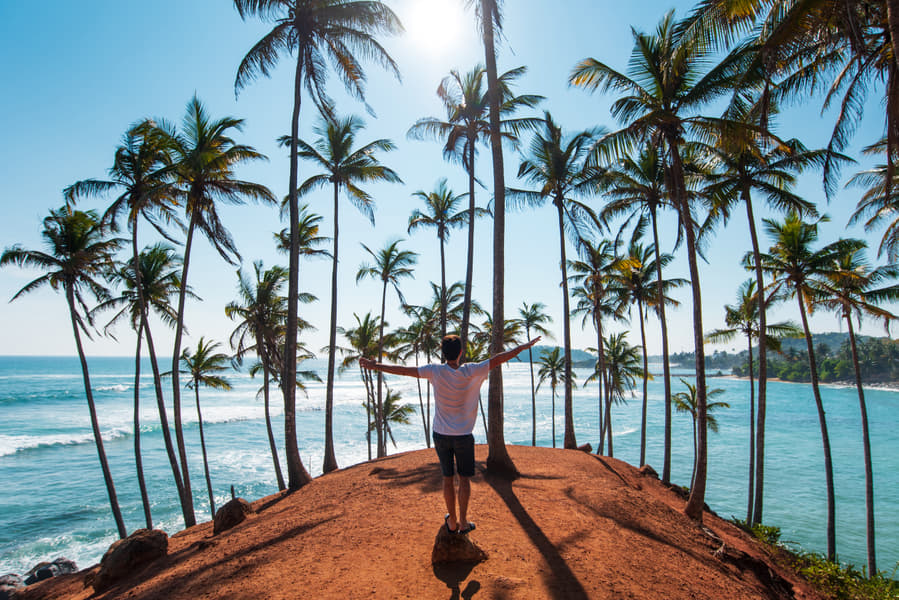 Mirissa and Galle Sightseeing Tour Image