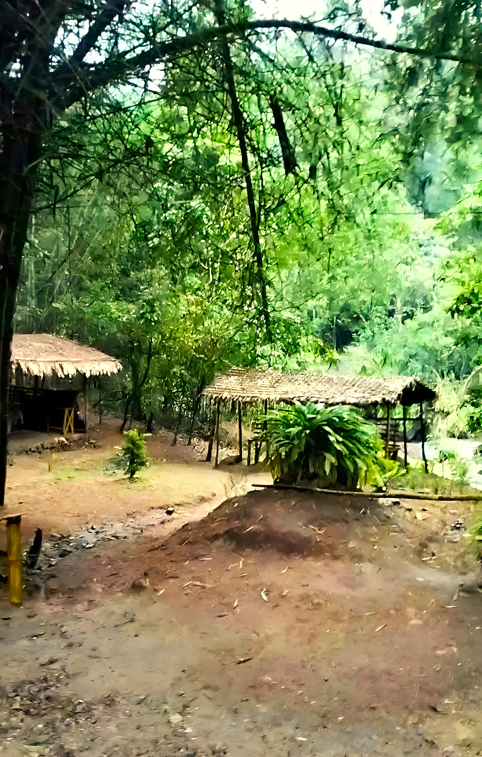 Tiger Cave