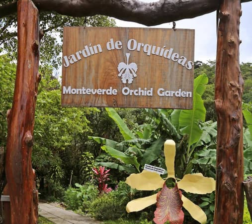 Monteverde Orchid Garden, Costa Rica