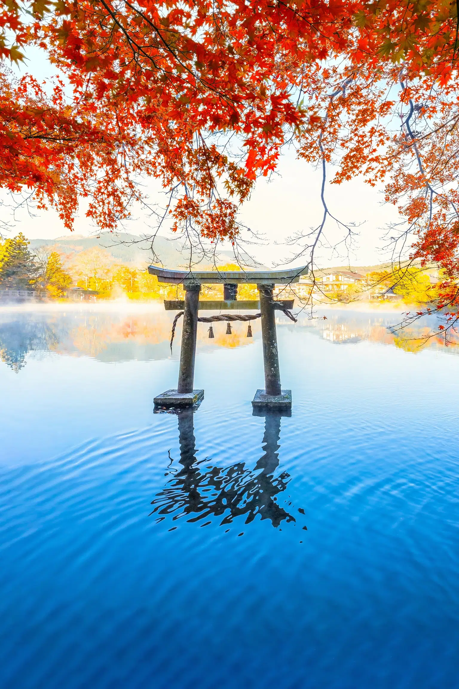 A torii gate standing in a calm lake, framed by autumn leaves.