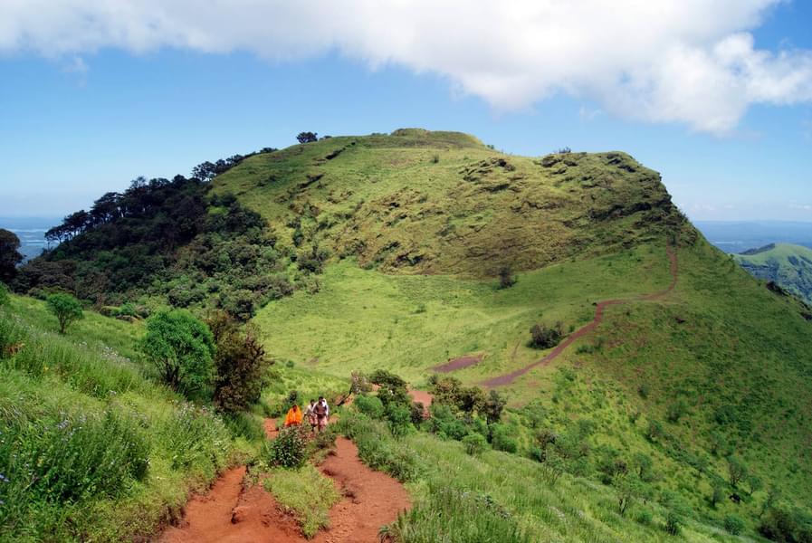 Kodachadri Trek Image