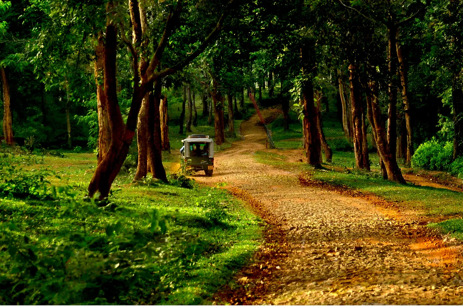 Muthanga Wildlife Sanctuary