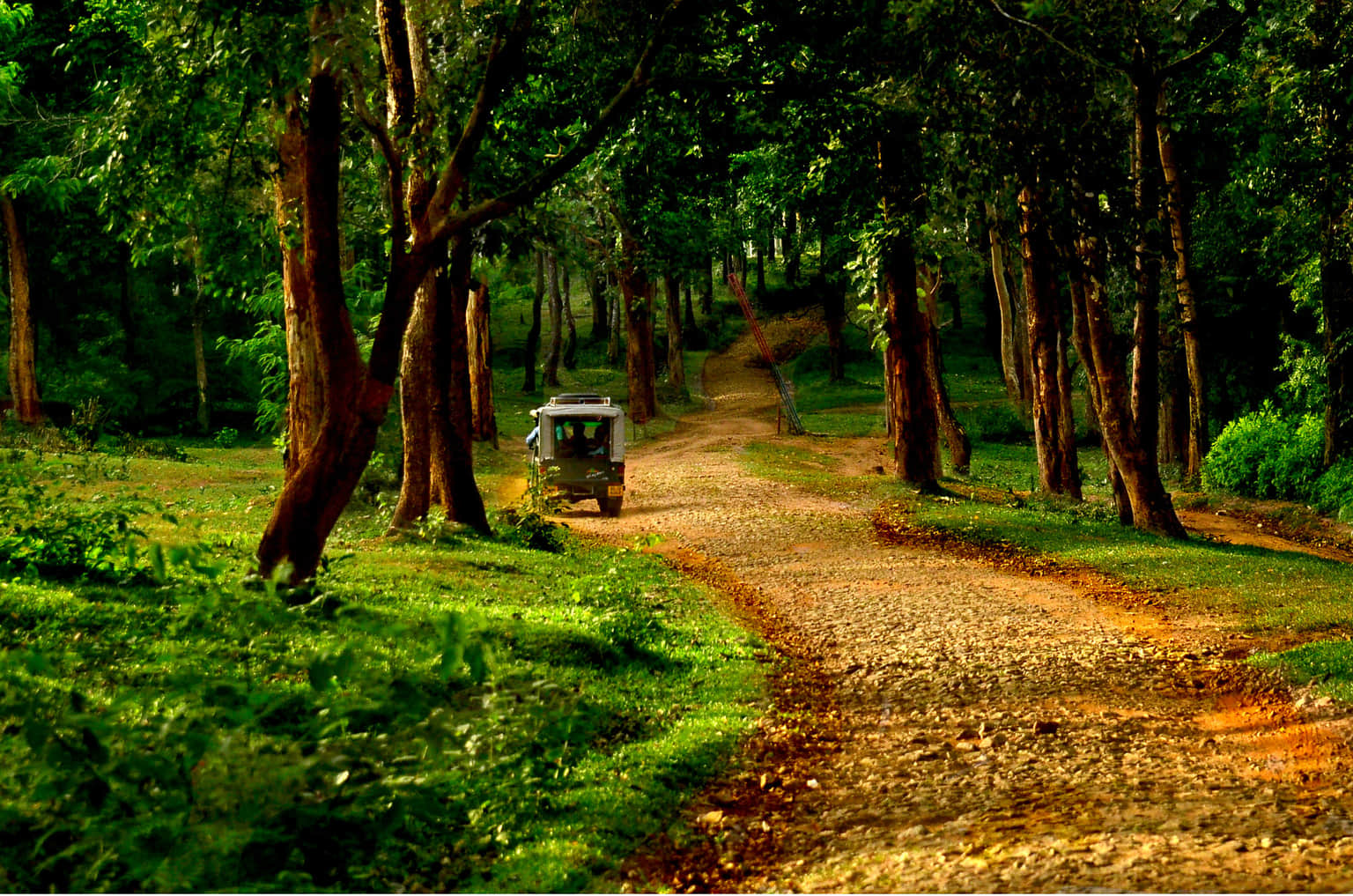 Muthanga Wildlife Sanctuary
