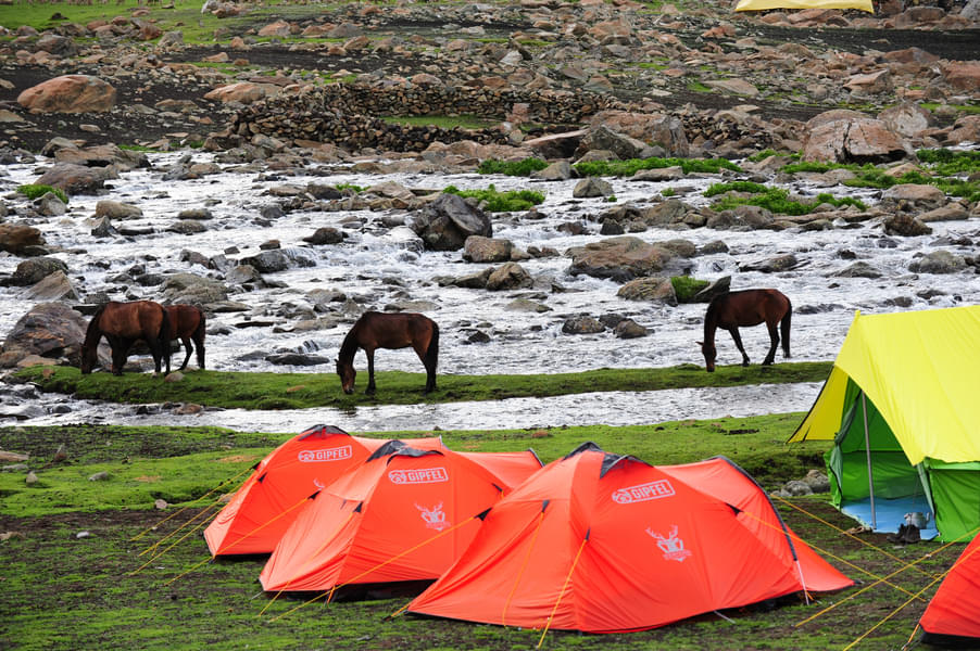 Camping Near Sonmarg
