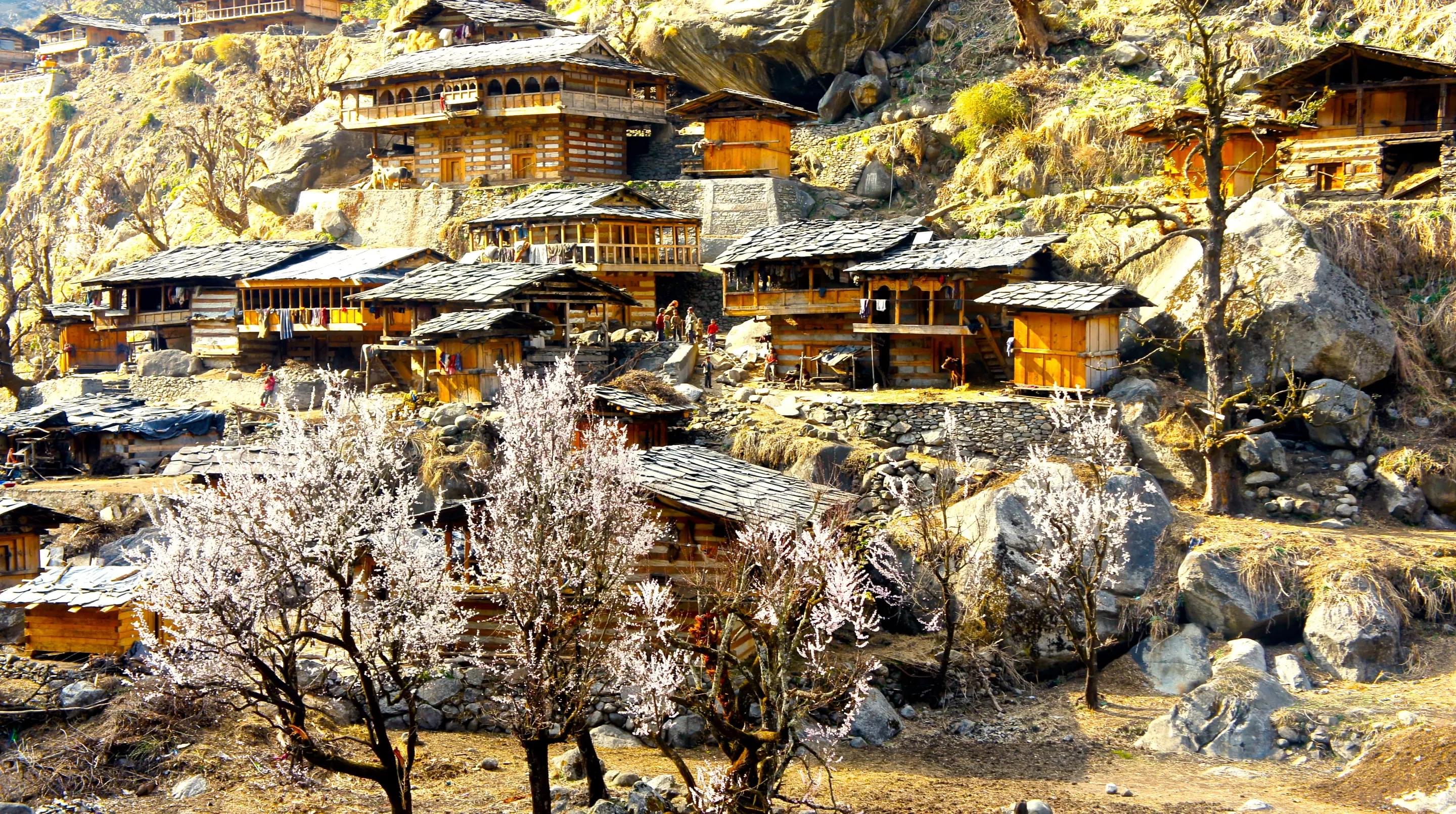 Experience immersive Village Life in Osla and Gangad
