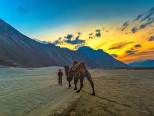 A wonderful ride on the Double-humped Bactrian camels exclusively found at Nubra valley