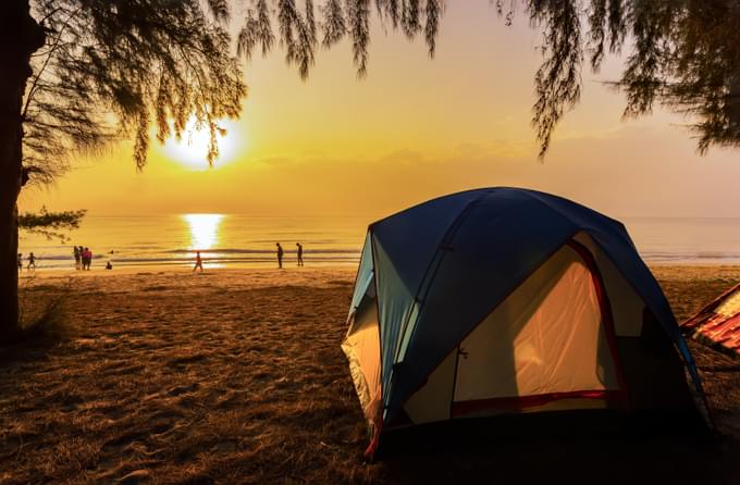 Daintree National Park