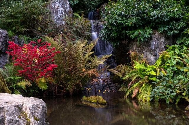 Stroll Through Botanical Garden Trail