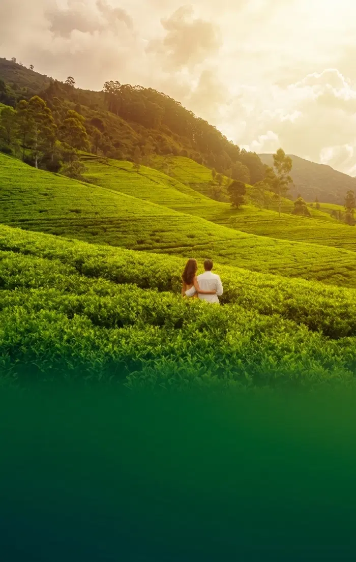 Romantic Escape to Kerala | From Tea Estates to Golden Sands