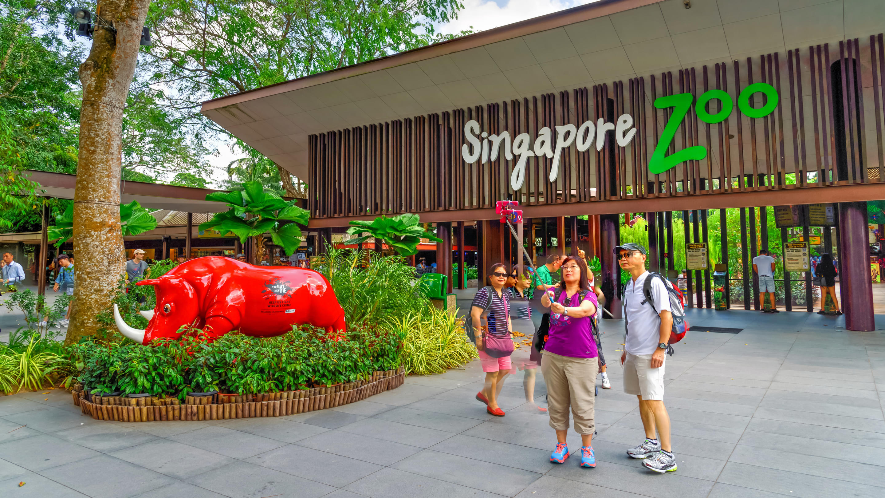 Singapore Zoo Overview