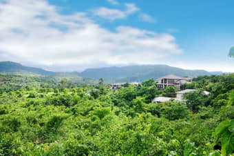 Forest Escapes Resort, Koyna | Luxury Staycation Deal