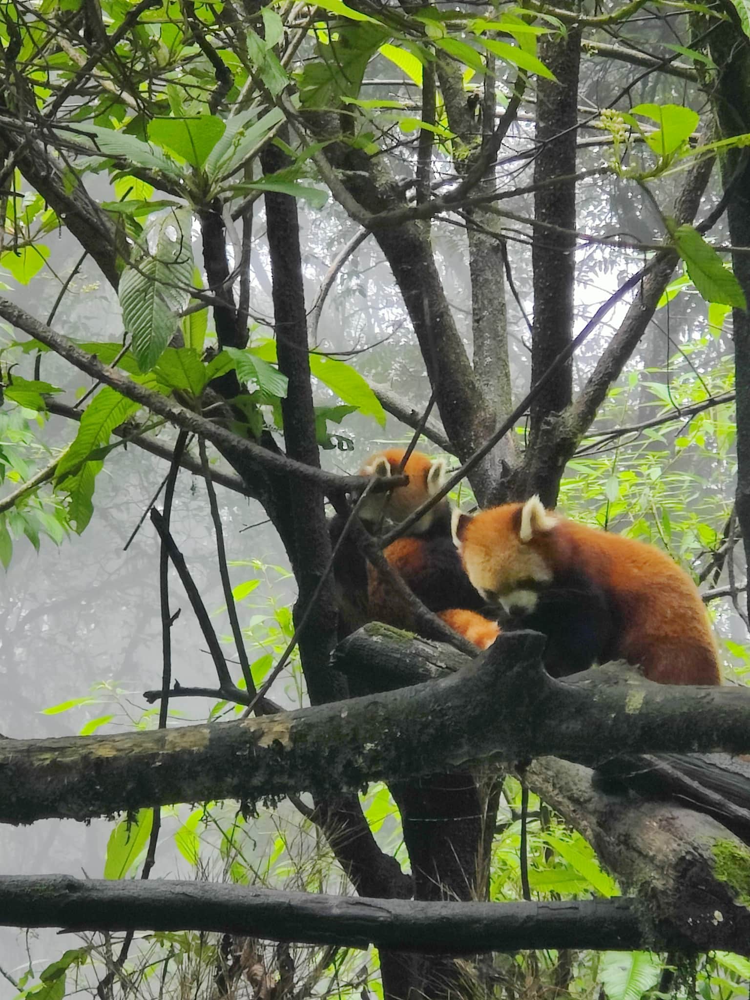 Photo from Bijosh Abraham 's trip