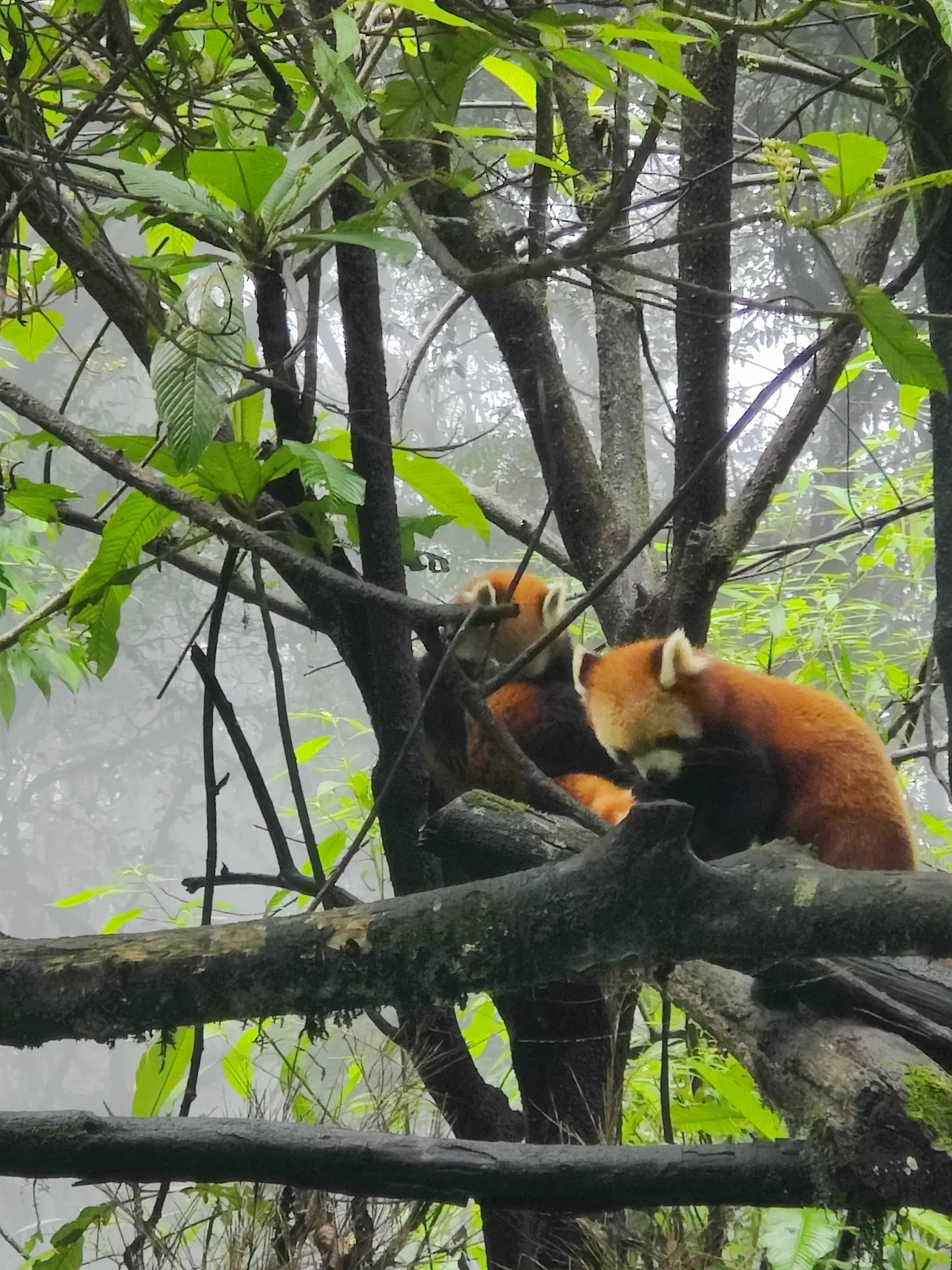 Photo from Bijosh Abraham 's trip
