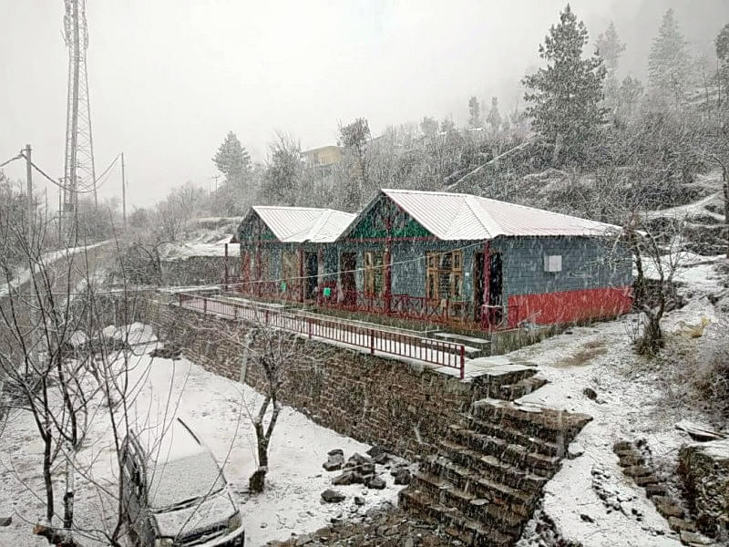 Eco Hut Stay In Auli Image