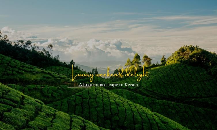 Unwind and rejuvenate in Kerala's serene and peaceful surroundings