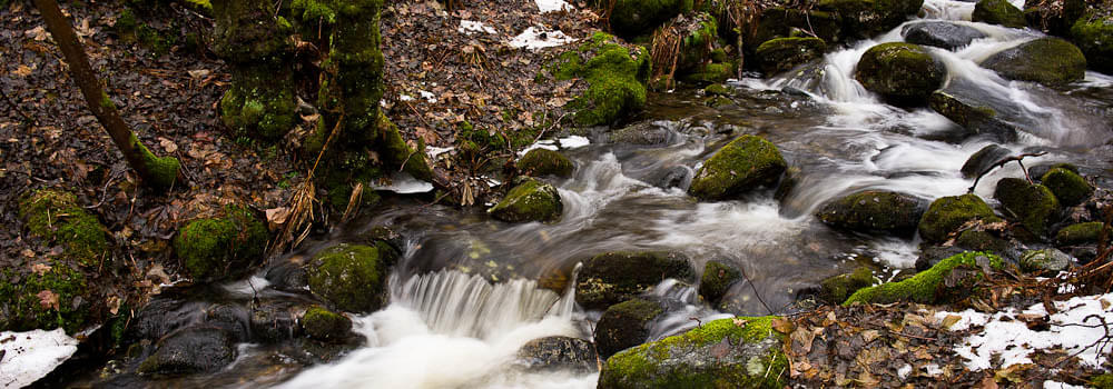 Immerse in the views of the picturesque Vikelva River