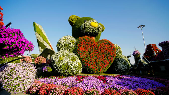 Teddy Bear In Miracle Garden