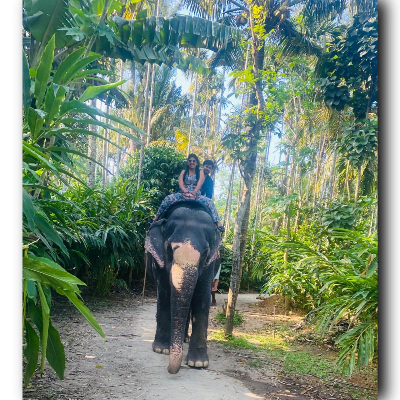 Photo from Ankita Patil's trip
