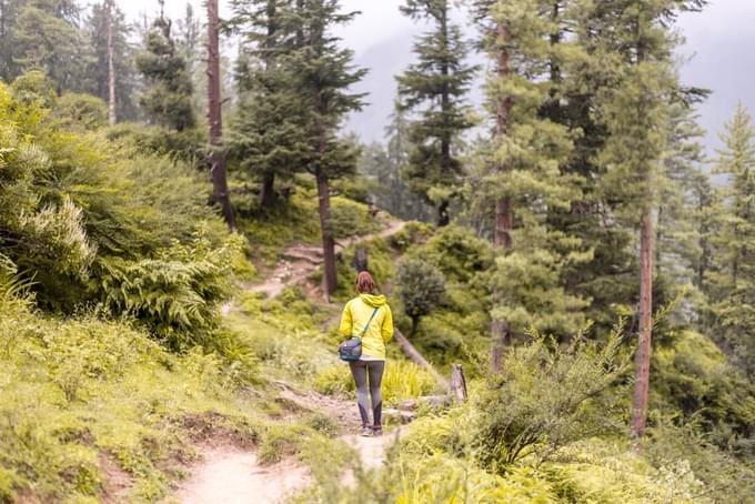 Trekking in Great Himalayan National Park Trek