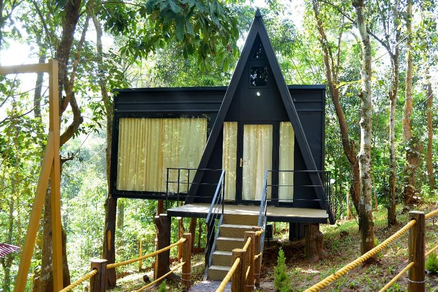 A Jungle Escape In The Woods Of Wayanad  Image