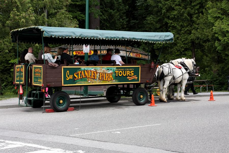 Take A Horse-Drawn Carriage Tour