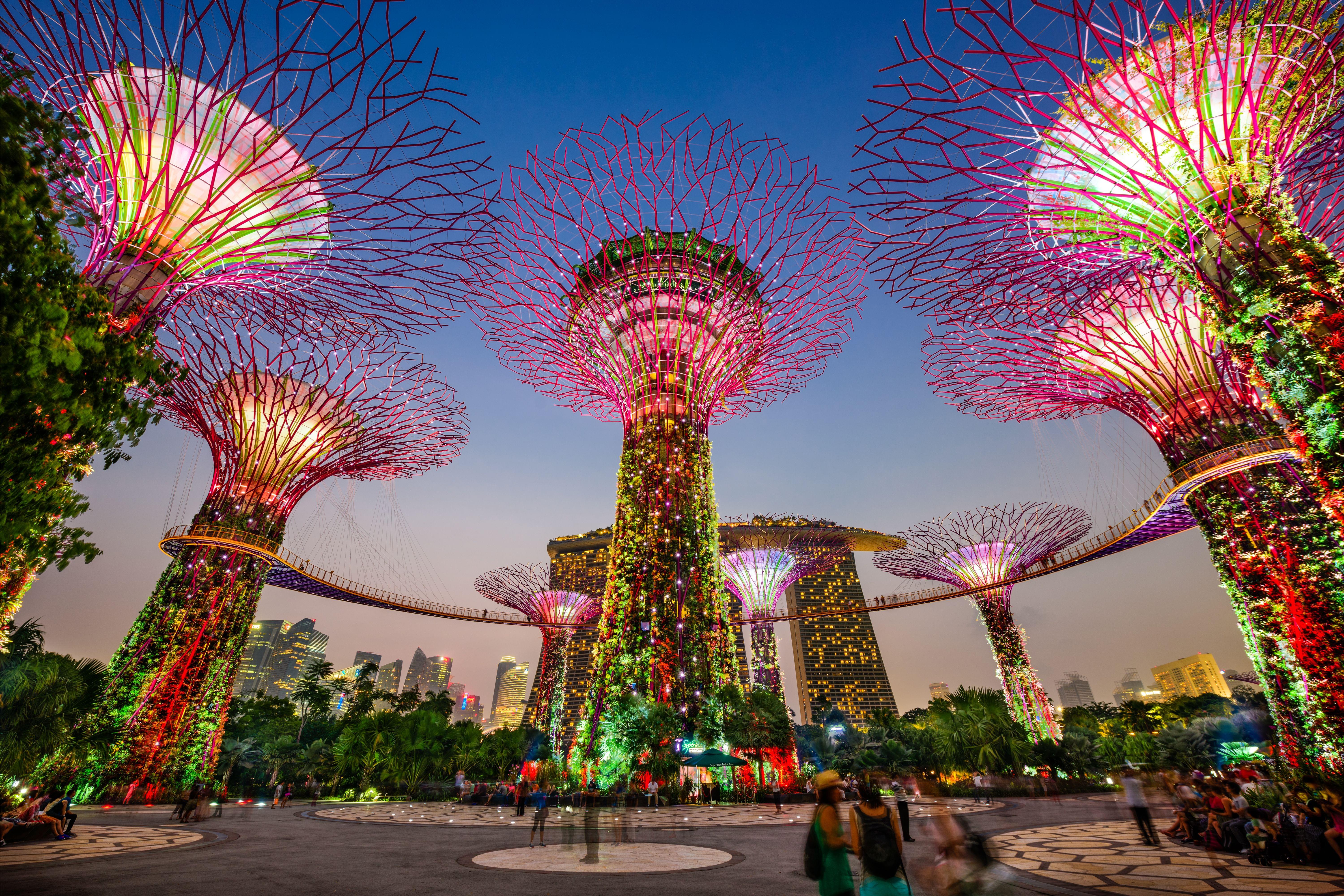 gardens by the bay in evening.jpg