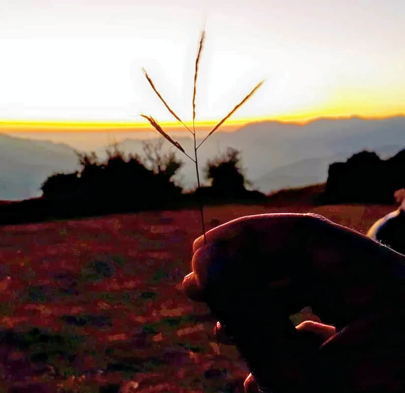 Photo from Amodini Embranthiri's trip