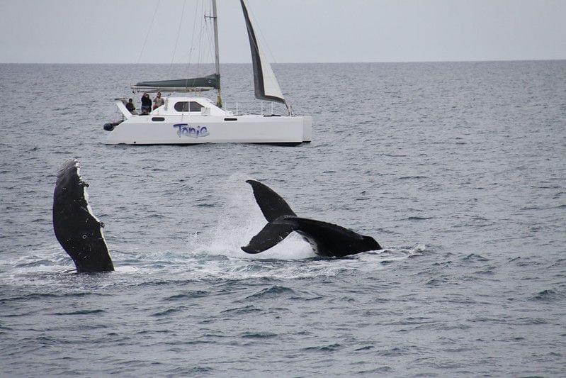 Hervey Bay, Australia