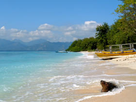 B24prc1cjmb30petntl1qagwkxal 1480652425 933858514 b99e174348 b