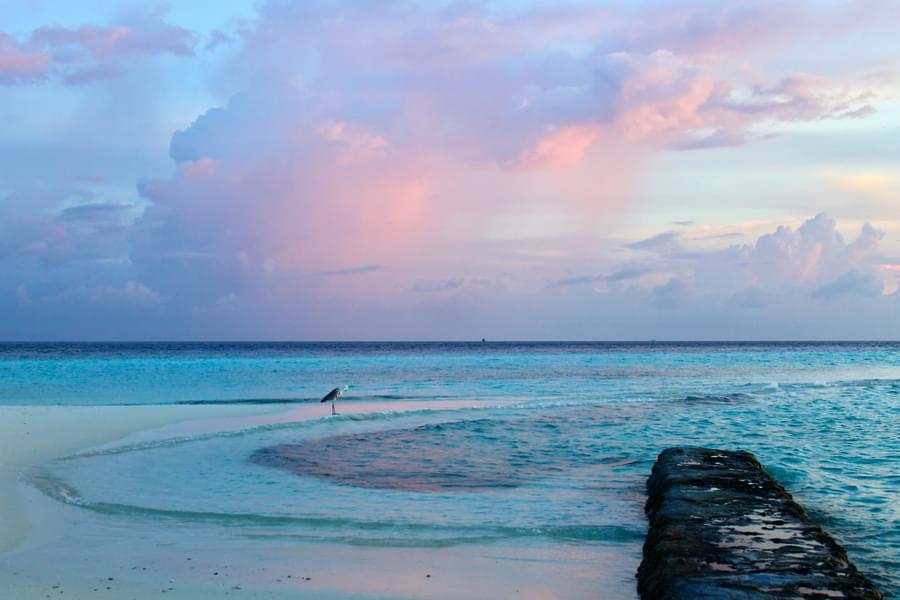 Felidhoo Island