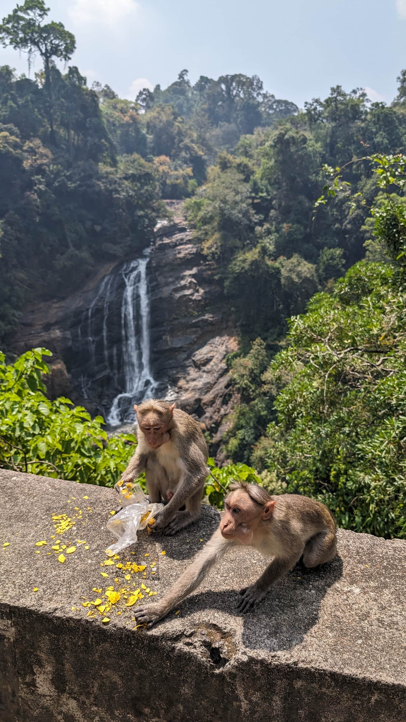 Photo from MISTY YARBROUGH's trip