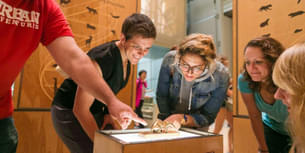 Smithsonian National Museum of Natural History Tickets