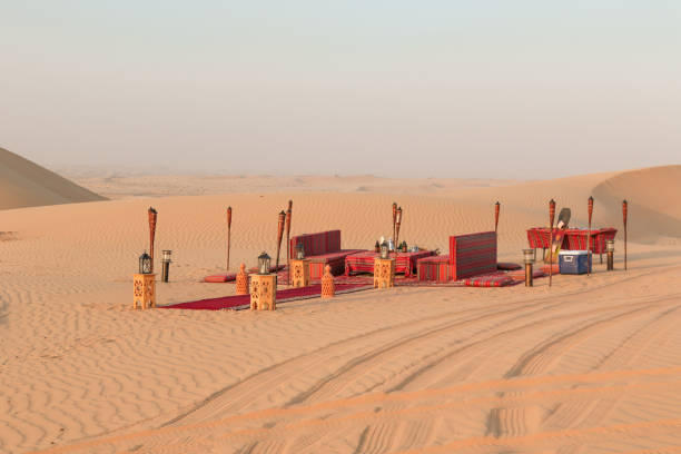 luxury tours desert safari 