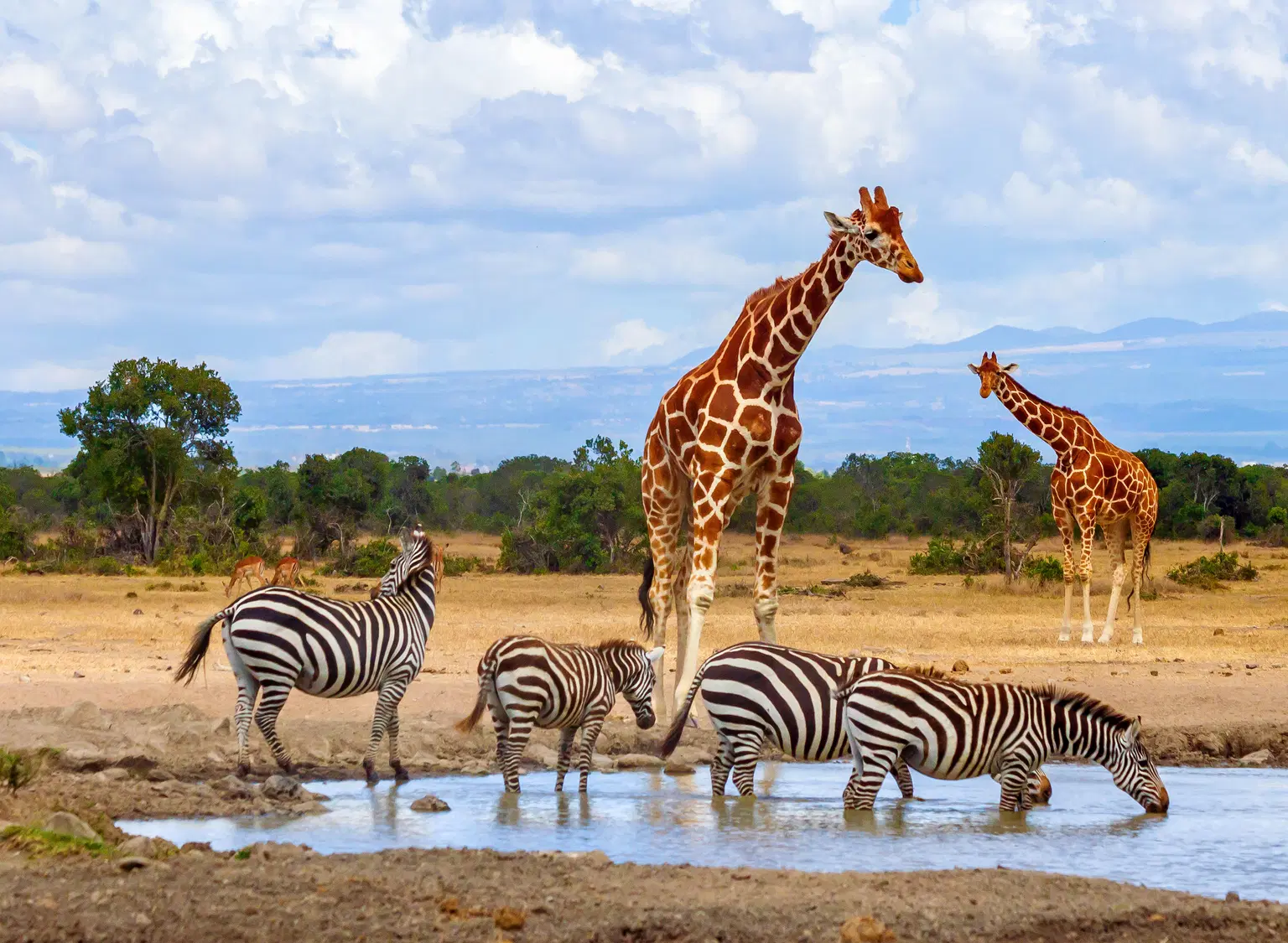 Ol Pejeta Conservancy, <em>Kenya</em>