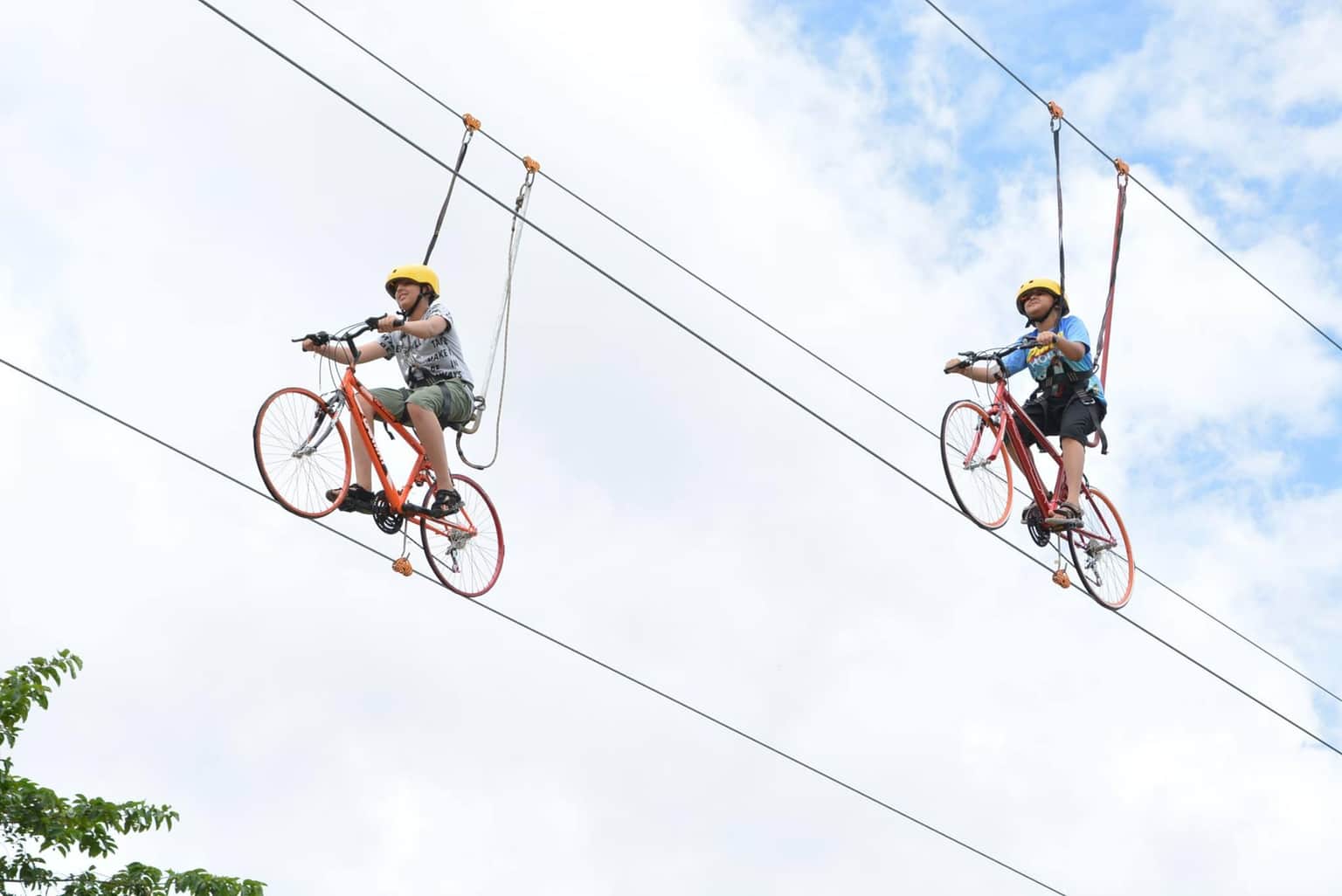 Opt for Zip-line Courses