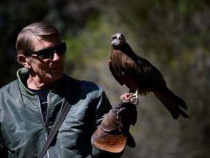 Visit the Eagles Heritage Wildlife Centre to come across various magnificent birds