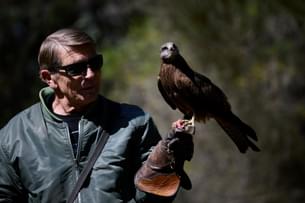 Visit the Eagles Heritage Wildlife Centre to come across various magnificent birds