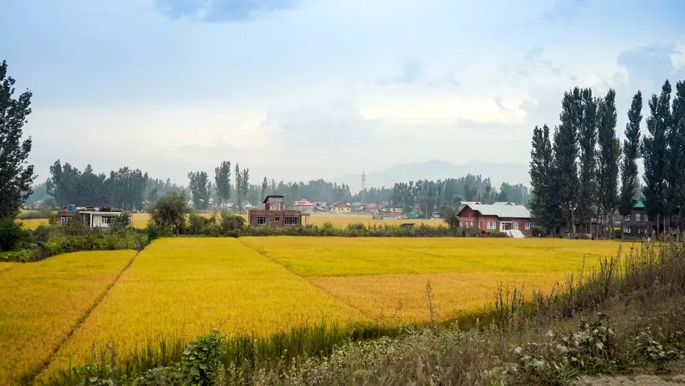 Sarbal Village