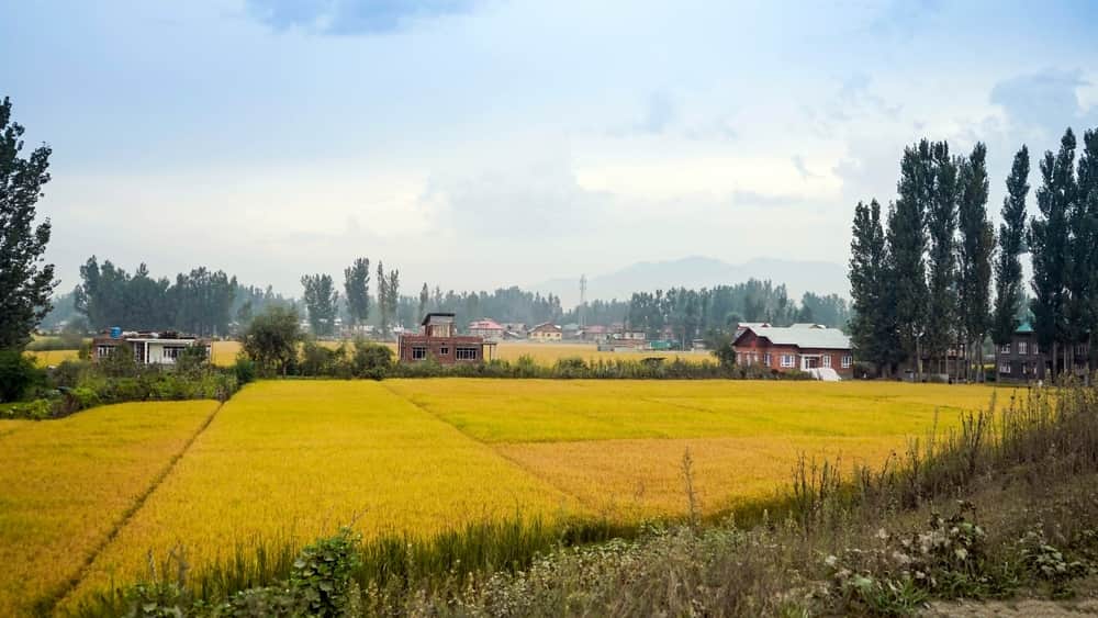 Sarbal Village, <em>Sonamarg</em>
