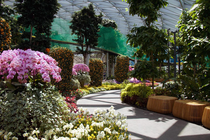 Canopy Park in Jewel Changi